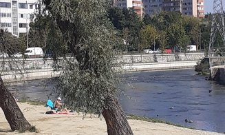 Zi de plajă în Grigorescu / "Au adus nisip?"