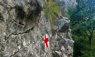 Rezervația Cheile Turzii este pregătită pentru sezonul de toamnă! Ce lucrări s-au făcut