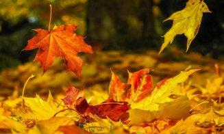 Temperaturi mai ridicate decât cele normale, până la jumătatea lunii octombrie