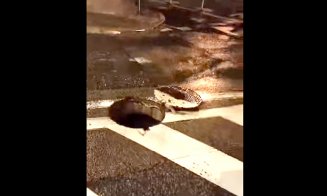 Au refulat canalele în Cluj-Napoca și au aruncat capacele în drum / ”Mai zboară capace de la ploaia torențială”