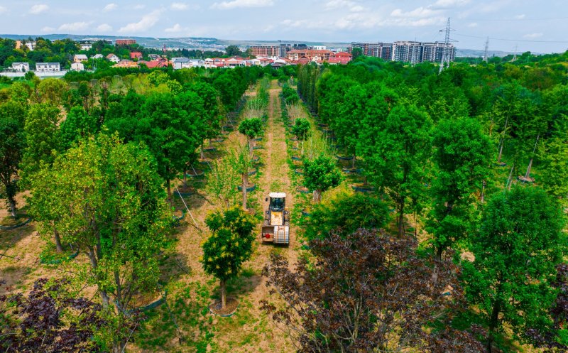 „Pădure” cu peste 600 arbori și peste 100.000 de plante decorative – Parte din Cluj. Ce pregătește IULIUS pentru grădina ce va fi creată prin proiectul de reconversie urbană propus în zona Carbochim
