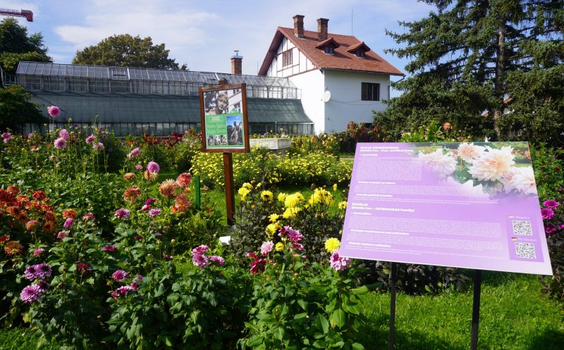 Vârstnicii pot intra gratuit la Grădina Botanică din Cluj-Napoca pe 1 octombrie, cu ocazia Zilei Seniorilor