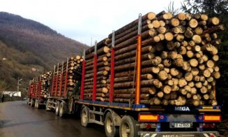 Transport ilegal de lemne interceptat de polițiștii clujeni. Șoferul a fost amendat