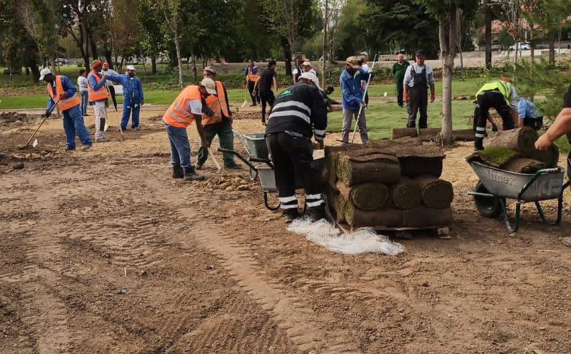 Parcul Feroviarilor:  peste 20.000 mp de gazon, peste 32.000 de arbuști și sute de arbori noi plantați