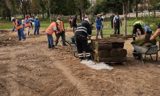 Parcul Feroviarilor:  peste 20.000 mp de gazon, peste 32.000 de arbuști și sute de arbori noi plantați