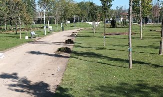 Parcul Feroviarilor:  peste 20.000 mp de gazon, peste 32.000 de arbuști și sute de arbori noi plantați