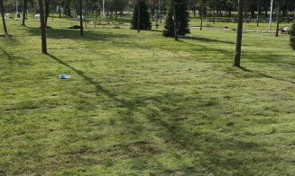 Parcul Feroviarilor:  peste 20.000 mp de gazon, peste 32.000 de arbuști și sute de arbori noi plantați