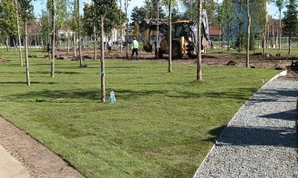 Parcul Feroviarilor:  peste 20.000 mp de gazon, peste 32.000 de arbuști și sute de arbori noi plantați