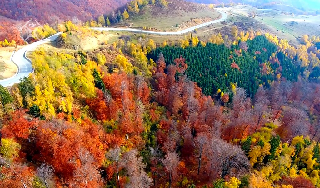 Peisaj de toamnă din România, în top 3 recomandate de Wall Street Journal turiștilor americani