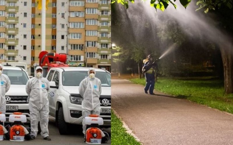 Acțiuni de deratizare și tratamente fitosanitare în Cluj-Napoca. Între ce ore se desfășoară și cât durează