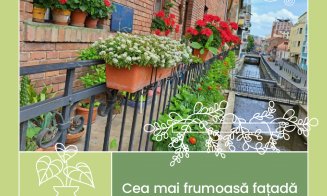 11 proiecte florale premiate la cea de-a șaptea ediție „Clujul cu flori”