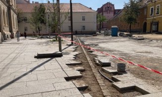 Aviz favorabil pentru soclul tatuii lui Racoviță și a grupului statuar „Școala Ardeleană” / Dispar copacii fața Bisericii Piariste