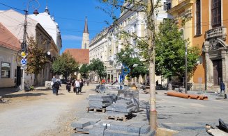 Boc dă din nou asigurări: "Copacii rămân în picioare pe Universității"