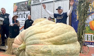 Unde a crescut dovleacul de 1.247 de kilograme. Record mondial