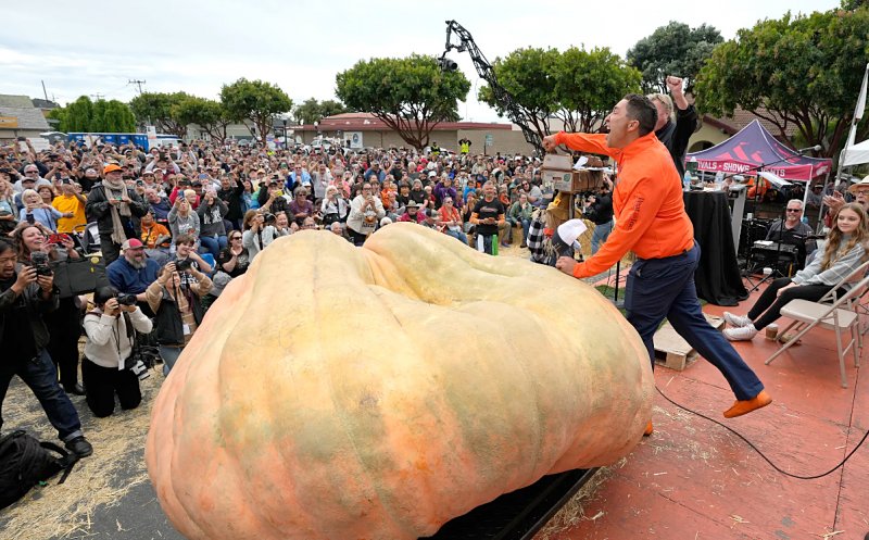 Unde a crescut dovleacul de 1.247 de kilograme. Record mondial