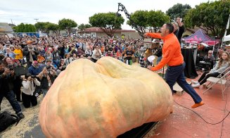 Unde a crescut dovleacul de 1.247 de kilograme. Record mondial