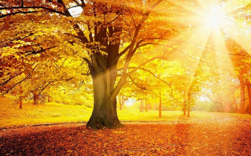 Weekend de vară în plină toamnă! Zonele în care temperaturile vor depăși 30 de grade în următoarele zile
