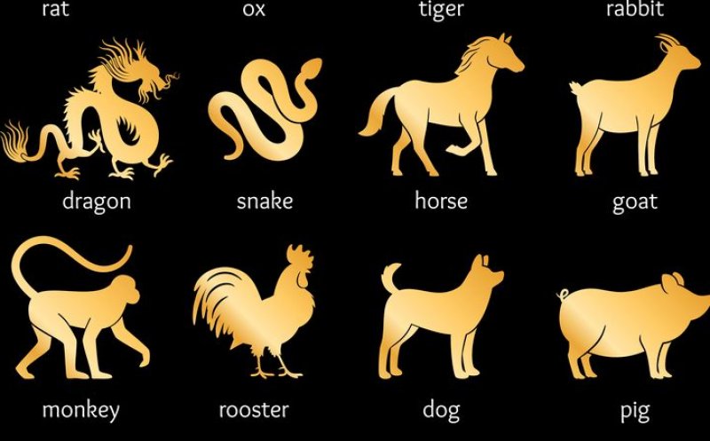 Horoscop chinezesc săptămânal, 23-29 octombrie 2023. Previziuni speciale pentru un nativ al zodiacului