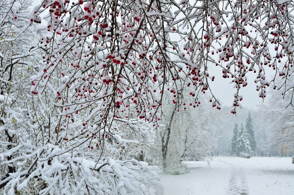 Meteorologii au estimările: ce iarnă ne așteaptă și care va fi luna cu cea mai multă zăpadă