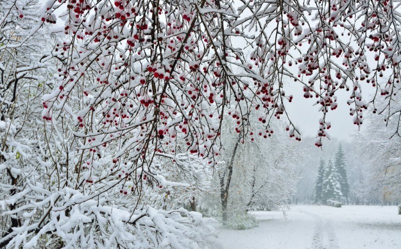 Meteorologii au estimările: ce iarnă ne așteaptă și care va fi luna cu cea mai multă zăpadă