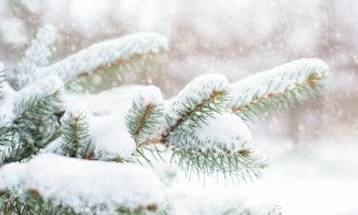 Când va ninge în România. Cum va arăta iarna 2023-2024