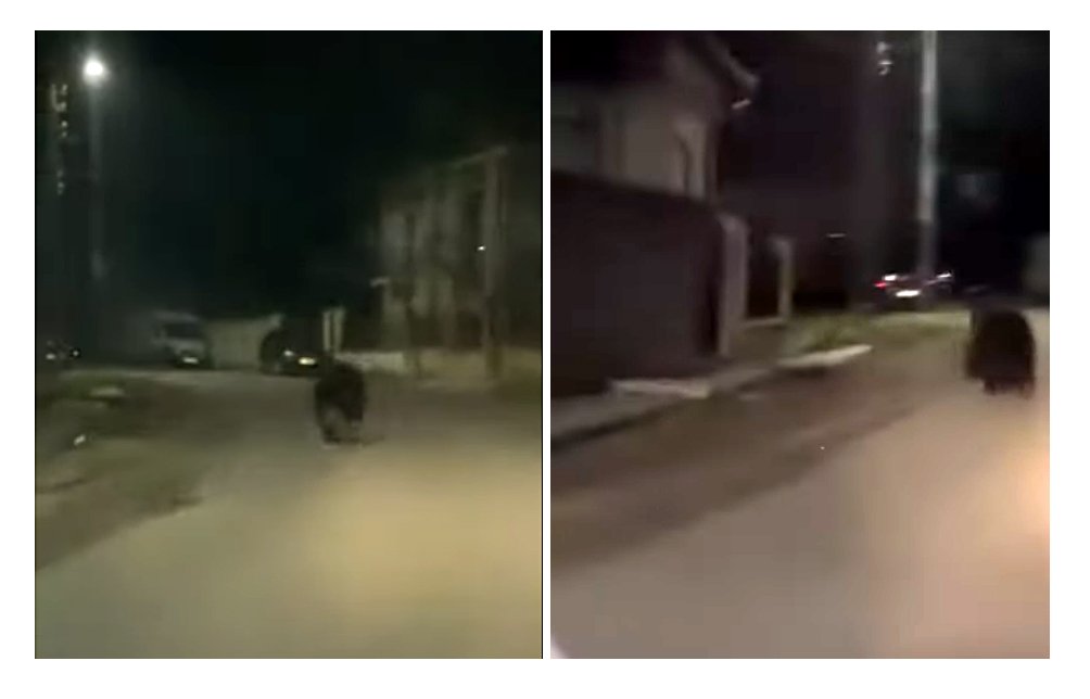 URS, la alergare pe o stradă dintr-un sat clujean. La 13 km de Cluj-Napoca