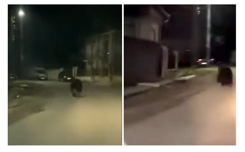 URS, la alergare pe o stradă dintr-un sat clujean. La 13 km de Cluj-Napoca