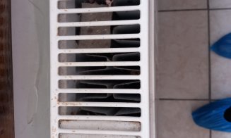 Protecția Consumatorilor: AMENZI la un Cămin de Bătrâni din Cluj-Napoca. Li s-a cerut şi relocarea vârstnicilor