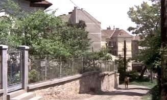 Clujul ca în filme - Pistruiatul, 1973