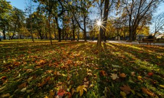 Toamnă superbă la Cluj. Imagini feerice surprinse într-un parc din oraș