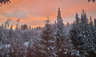 Cât de tare a nins în zona de munte a Clujului: „Azi m-am trezit în Finlanda”