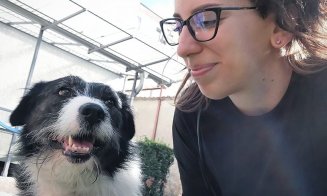 De la o postare share-uită din Cluj... Povestea lui Pedro, un cățel cu meningită spinală salvat dintr-o benzinărie. Acum îşi caută stăpâni