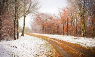 Sunt șanse să avem zăpadă de Crăciun? VEZI prognoza până la jumătatea lunii decembrie