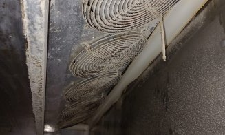 Probleme mari la magazinele PENNY și AUCHAN din Cluj. Protecția Consumatorilor a găsit ouă cu excremente, carne stricată și mizerie. Clienții erau păc