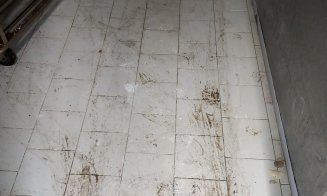 Probleme mari la magazinele PENNY și AUCHAN din Cluj. Protecția Consumatorilor a găsit ouă cu excremente, carne stricată și mizerie. Clienții erau păc