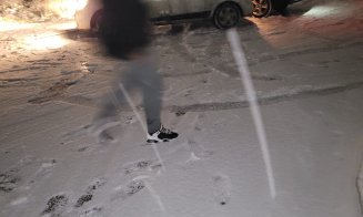 "Unii chiar vor să fie un camion de dezăpezire în faţa lor când se plimbă"