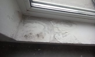 Grădinița privată din Cluj-Napoca, închisă și amendată de Protecția Consumatorilor. Igrasie și miros de mucegai
