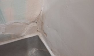 Grădinița privată din Cluj-Napoca, închisă și amendată de Protecția Consumatorilor. Igrasie și miros de mucegai