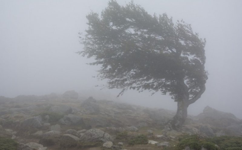 Avertizare meteorologică în Cluj: Cod galben de vânt și scădere bruscă a temperaturilor