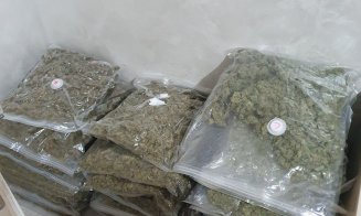 Percheziții ca-n filme la dealeri care vindeau droguri în Cluj și Iași. Geantă cu 130.000 de euro, aruncată pe geam și canabis în vasul de toaletă