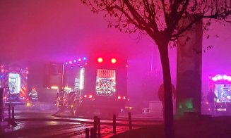Ce a provocat incendiul de lângă Iulius Mall. Trei tineri, cercetați pentru distrugere