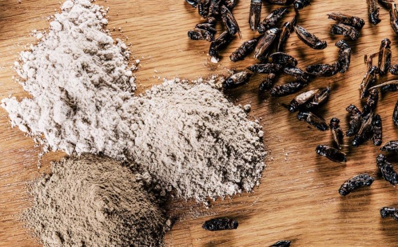 Iohannis a promulgat legea: Făina de insecte, interzisă în produsele tradiționale românești!