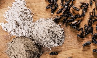 Iohannis a promulgat legea: Făina de insecte, interzisă în produsele tradiționale românești!