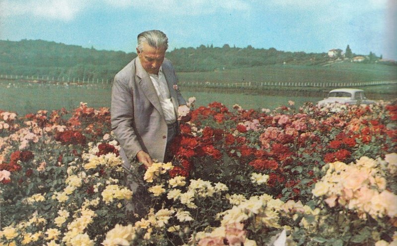Palocsay Rudolf, “vrăjitorul din Becaş”, grădinarul Clujului