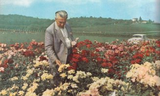 Palocsay Rudolf, “vrăjitorul din Becaş”, grădinarul Clujului