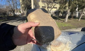 Președintele Europol a arătat cum se poate cumpăra din Portul Constanța 1 kg de cocaină. A plecat cu marfa pe bord şi NU l-a controlat nimeni. După ex