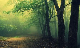 Descoperire macabră în Cluj! Cadavrul unui bărbat, găsit într-o zonă greu accesibilă