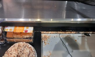Probleme la food court-ul Vivo la început de an. Amenzi de 335.000 lei date de ANPC Cluj și 3 operatori închiși: „Aoleu! Aici e raiul șoarecilor”