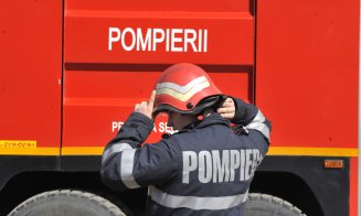 Câine căzut într-un canal fără capac, salvat de pompierii clujeni. Proprietarul patrupedului, la un pas să cadă și el