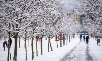 Ianuarie se încheie blând, dar vine februarie... Prognoza până la jumătatea lui Făurar